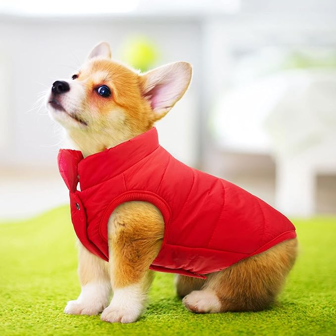 Syhood 2 Pieces Dog Jacket 2 Layers Fleece Lined Dog Jacket Warm Soft Windproof Small Pet Coat for Winter Cold Weather(M,Navy,Red)
