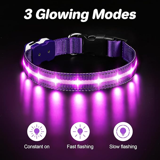 PcEoTllar Light Up Dog Collars, Led Dog Collar, Rechargeable, Night Walking, Waterproof, Glow in The Dark Dog Collars Light for Large Small Medium Dogs, Purple m