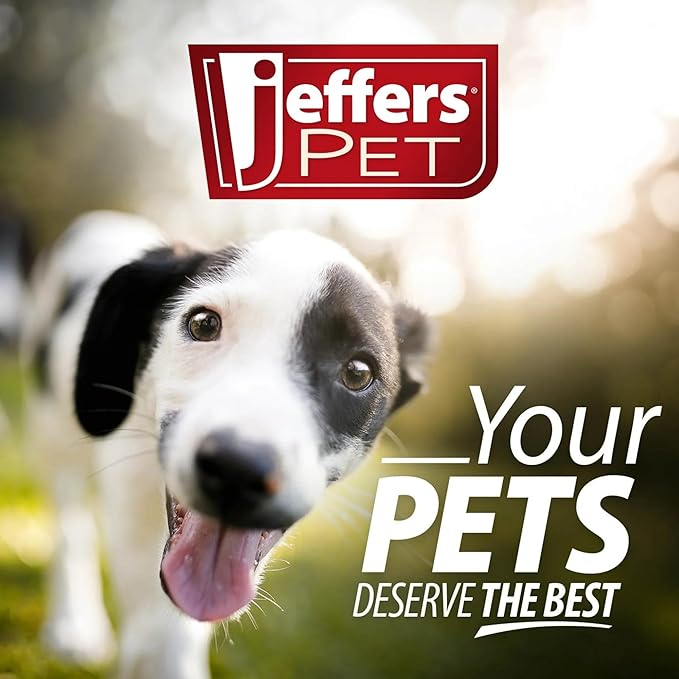Jeffers Pet Plush Dog Toy with Squeaker, Fleecy Red Heart 6.5" - Soft Crinkle Fabric, Safe & Durable, Healthy Fun for Small & Medium Dogs, Interactive Play, Fetch, Tug - Best Gift for Active Games