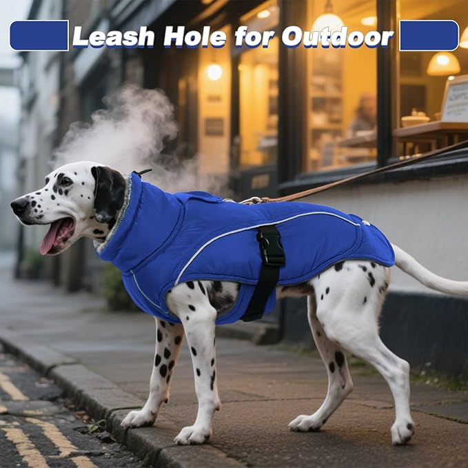 DENTRUN Large Dog Winter Coat - Windproof Reflective Warm Coat, Adjustable Neck & Snap Closure, Water Repellent Thick Fleece Vest, Fleece Lined for for Golden Retriever, Blue, XL