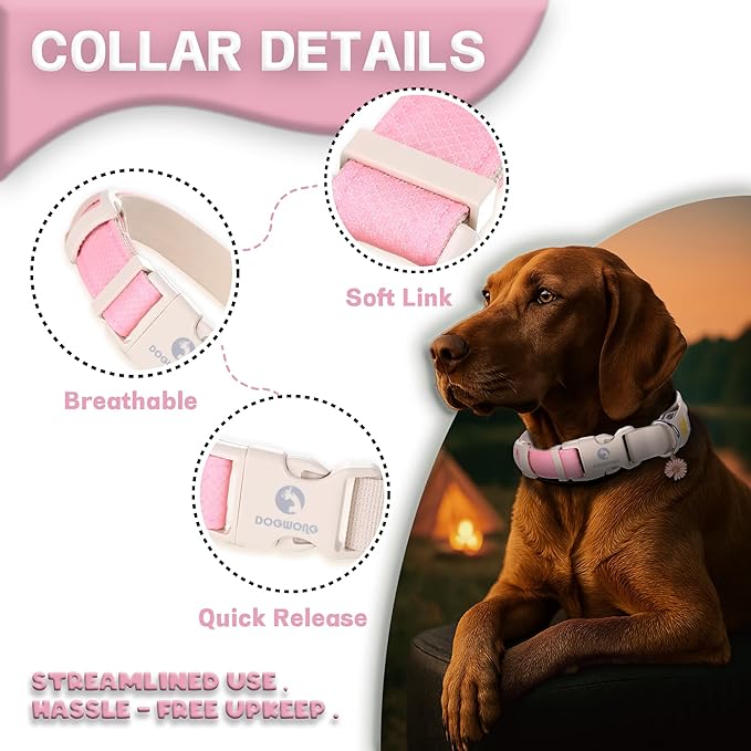 DOGWONG LED Dog Collar - Heavy Duty Light up Collars - Rechargeable Waterproof - Lighted Dog Collar for Night Walking, Hiking, Camping(Pink,S)