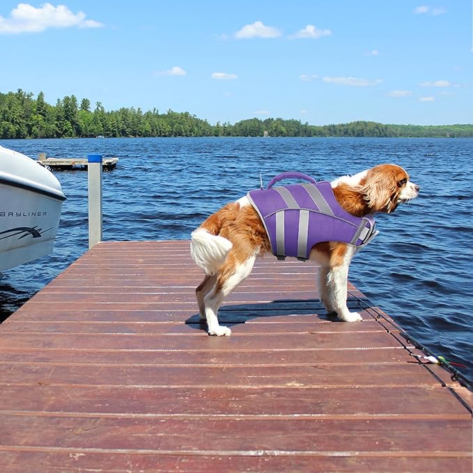 Kuoser Life Jacket with Reflective Stripes, Adjustable High Visibility Dog Vest Ripstop Lifesaver Pet Life Preserver for Small Medium and Large Dogs