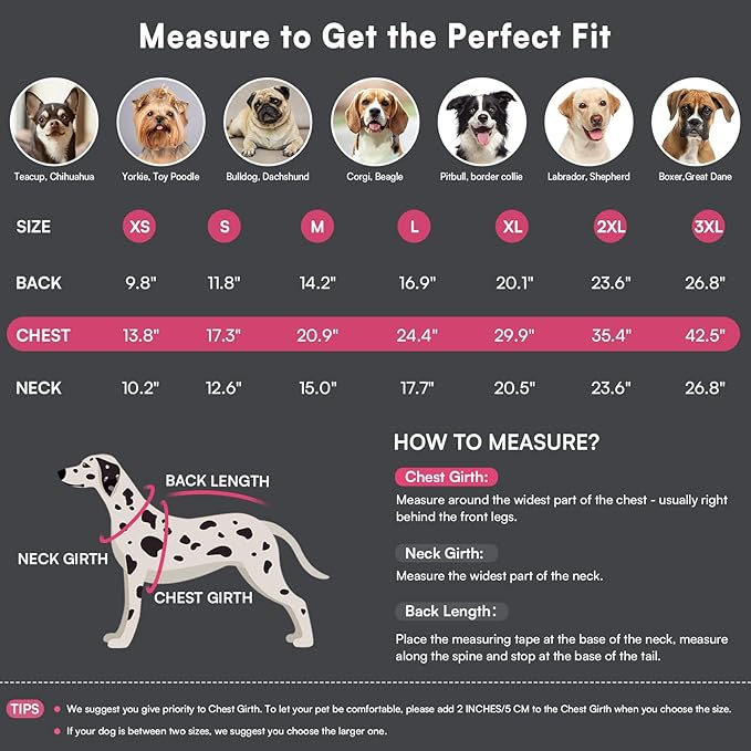 Queenmore Small Dog Coat,Dog Coat for Small Dogs,Reflective Windproof Dogs Jackets with Built-in Harness,Doggy Winter Jacket with Zipper On Back,Warm Pet Coats with Fleece Lining,Rosered,S