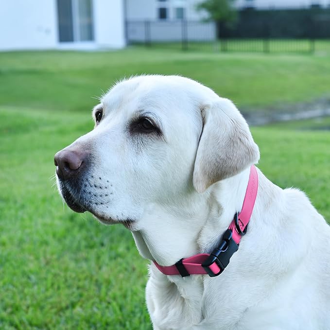 Dogline Biothane Waterproof Dog Collar with Quick Release Buckle Strong Coated Nylon Webbing with Odor- Proof for Easy Care Easy to Clean Fits Small Medium or Large Dogs, Pink 1" W 15-23" L