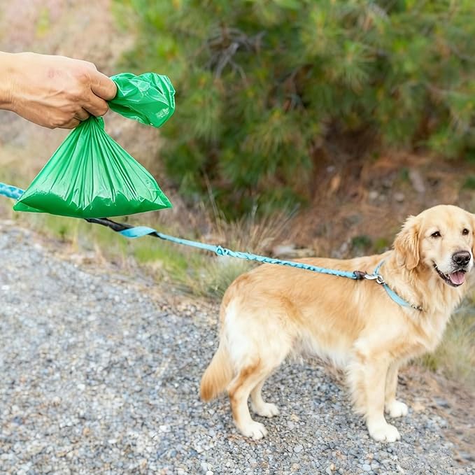 Odor-Sealing Dog Poop Bags XL, 100 Count | Unscented & Durable Disposable Waste Bags for Pet Waste, Home & Travel Use (Green)