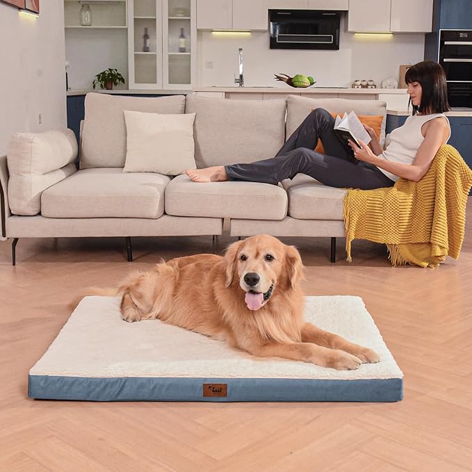 Orthopedic Dog Bed for Large Dogs, Plush Washable Pet Bed for Large Size Dogs with Egg Crate Foam & Removable Oxford Cover, 36x27 Inch, Blue White