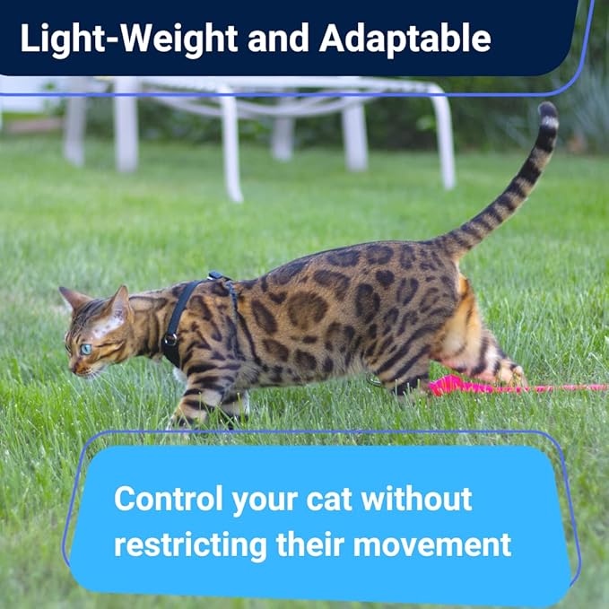 Houdini™ Escape Proof Cat Harness and Leash Set by OutdoorBengal for Walking Cats and Kittens (Leather, Large Cat)