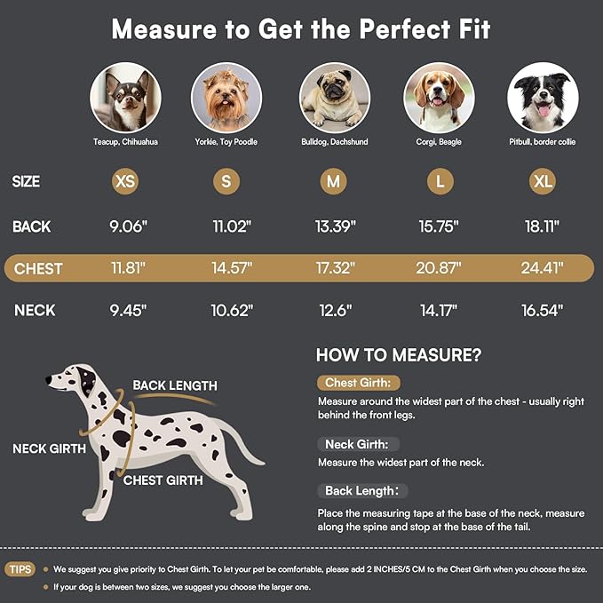 Queenmore Medium Dog Sweater,Dog Sweater for Medium Dogs Boys Girls,Christmas Sweaters for Dogs,DogSweater Knitwear Outfit,Thick Warm Pet Clothes for French Bulldog,Boston Terrier(Beige,M)