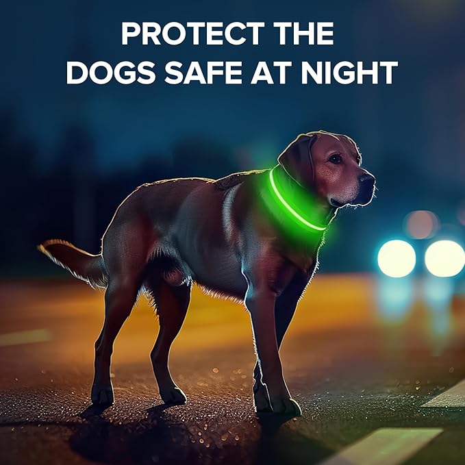 Light Up Dog Collar, Adjustable USB Rechargeable Glow in Dark Dog Collar ，Waterproof Dog Collars for Small Dogs (Green, Small)