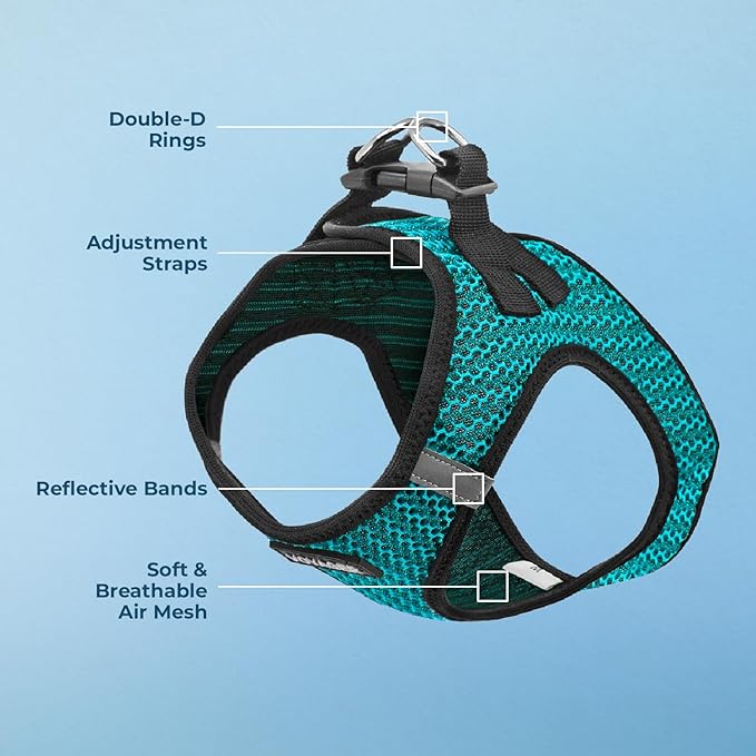 Best Pet Supplies Voyager Step-in Air Harness - All Weather Mesh, Reflective, No Pull Harness for Dogs, Cats - Secure with Hook & Loop Fastener, Buckle, Double D-Rings - Tone, M