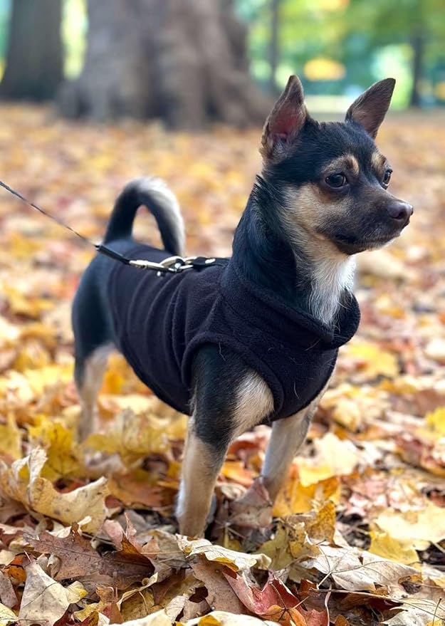 JACKO & CO - Fleece Vest Dog Sweater with Leash Ring - Soft, Warm & Lightweight Pullover Coat for Small & Medium Dogs, Puppies & Cats - Cozy Fall/Winter/Spring Pet Jacket (Black, X-Large 17-25lbs)