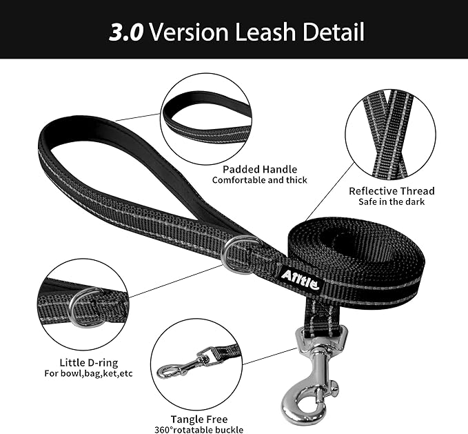 AIITLE Comfortable Dog Harness and Leash Set for Walking - Summer Step in Vest Harness,Reflective Bands, Adjustable No Pull Puppy Essentials, for Small Dogs and House Cats Black XS