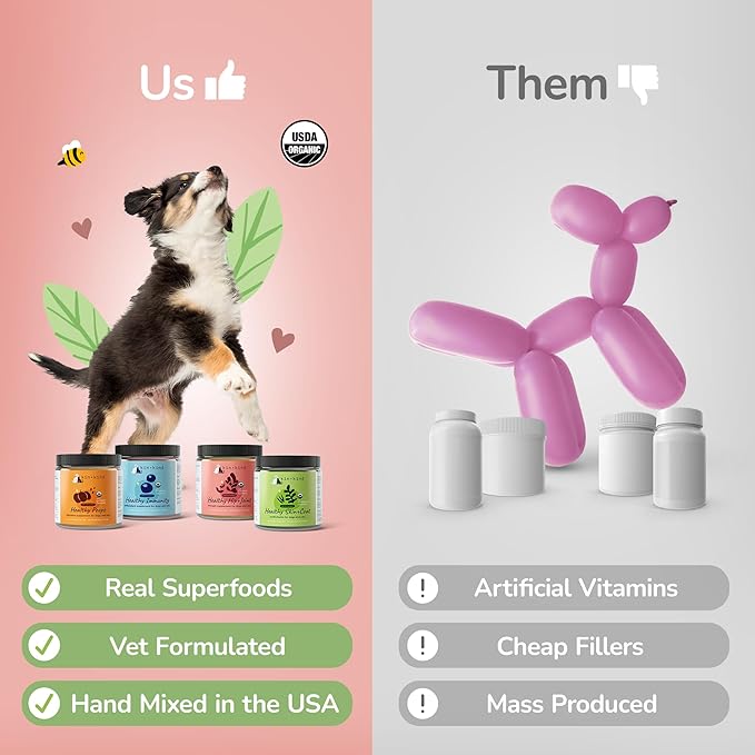 kin+kind Organic Fiber for Dogs&Cats - Pumpkin Boost for Healthy Poops - Digestive Health - Flax Seed, Ginger, Turmeric and Coconut - Made in USA - 4 oz (Medium)