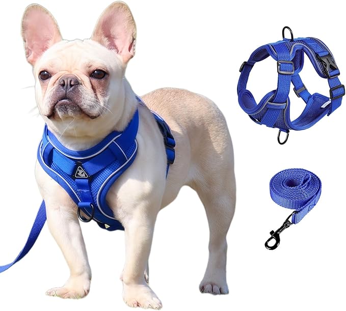 SOLMOONY Small Dog Harness,Soft Mesh Puppy Harness and Leash Set,No Escape Cat Harnesses for Training Walking,Reflective Adjustable Puppy Vest for Small Medium Dogs, Cats (Navy Blue, L)