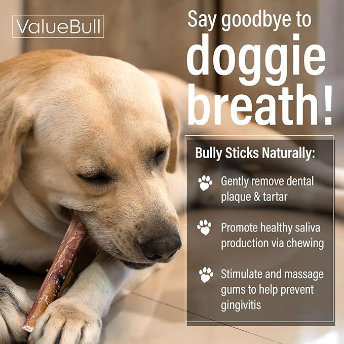 ValueBull Bully Sticks for Dogs, Medium 6 Inch, 400 Count Wholesale Pack - All Natural, Grass Fed, Single Ingredient, Long Lasting Dog Treats