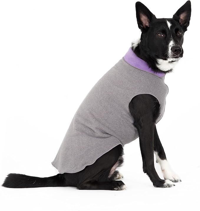 Goldpaw Duluth Double Fleece Dog Sweater Vest for Small Dogs - Soft, Stretchy Dog Fleece - Warm Pet Jacket for Fall and Winter - Premium Pet Outerwear - Machine Washable - Charcoal/Lavender - Size 10