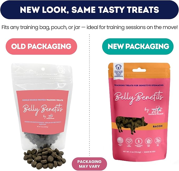 Onward Hound Training Treats for Dogs - Soft Salmon - Low Calorie Dog Training Treats for Sensitive Stomachs with Single Source Premium Protein, Corn Free, & Soy Free Formula - 4 oz