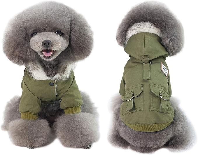 Warm Dog Hooded Trench Coat Windproof Parka Jacket for Cold Weather (XL, Green)