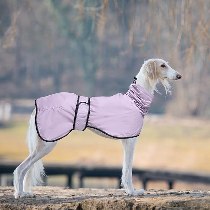 Dog Raincoat with Reflective Bar, Rain/Water Resistant, Adjustable Vest - Dog Raincoats for Greyhounds, Lurchers and Whippets - Purple - XL