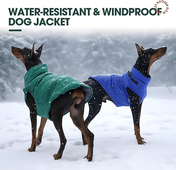 Kuoser Dog Jacket, Coat for Large Dogs with Harness Built-in, Thick Vest with Leash Hole, Cold Weather Snow Jacket for Labrador Beagle, Blue XL
