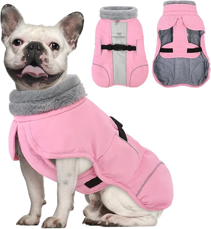 Queenmore Dog Winter Jacket, Fleece Lining Doggie Vests for Winter, Dog Coats for Medium Dogs Waterproof, Puppy Snowsuit with Leash Hole, Pink, M