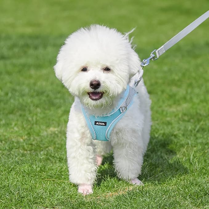 AIITLE Dog Harness, Summer No-Pull Cat Harness with a Leash, Adjustable Reflective Dog Vest, Cat Harness Escape Proof, Outdoor Walking, Camping for Extra Small Dogs and House Cats Blue XXXS