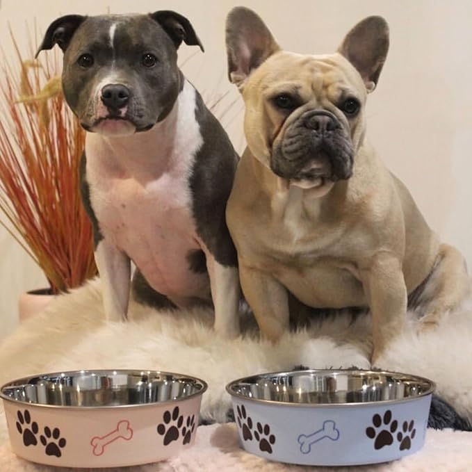 Loving Pets Bella Dog Bowls- Stainless Steel Dog & Cat Bowls - Spill Proof Dog Food Bowl, Cat Bowl, Puppy Essentials & Pet Supplies Great for Home & Travel (Large 35-65 lbs, Paparazzi Pink)