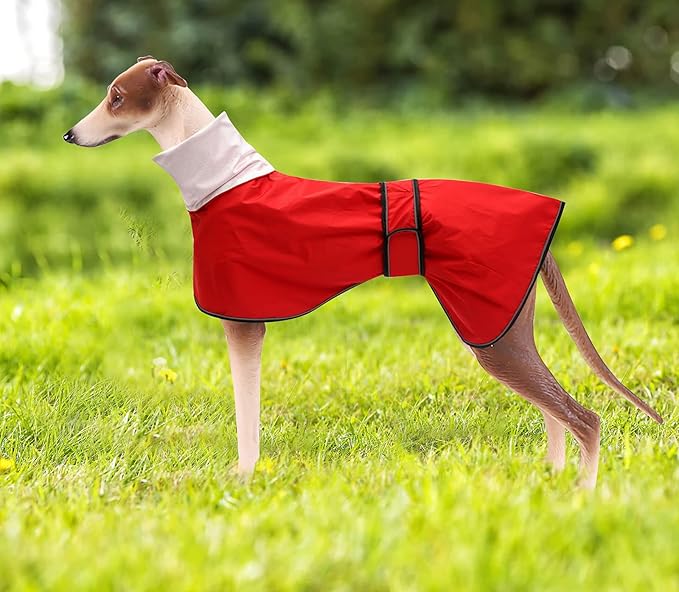 Dog Raincoat with Reflective Bar, Rain/Water Resistant, Adjustable Vest - Dog Raincoats for Greyhounds, Lurchers and Whippets - Red - S