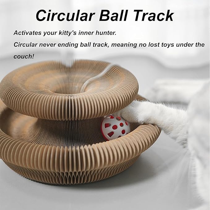 Kitty Kurl Cat Toy