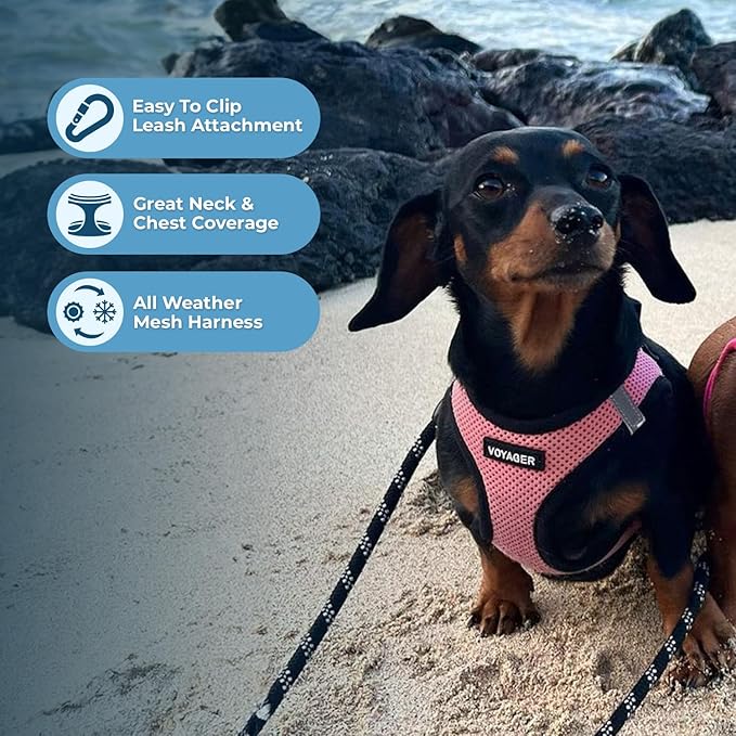 Best Pet Supplies Voyager Step-in Air Harness - All Weather Mesh, Reflective, No Pull Harness for Dogs, Cats - Secure with Hook & Loop Fastener, Buckle, Double D-Rings - Pink/Black Trim, M