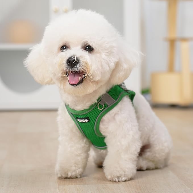 AIITLE No Pull Dog Harness and Leash Set, Step in Adjustable Dog Harness with Padded Vest for All Weather, Dog Leash with Soft Padded Handle, Easy to Put on Small and Medium Dogs Green S