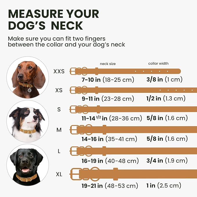 BronzeDog Rolled Leather Dog Collar with QR ID Tag, Adjustable Soft Round Collars for Small Medium Large Dogs Puppy (14" - 16" Neck Size, Mustard)