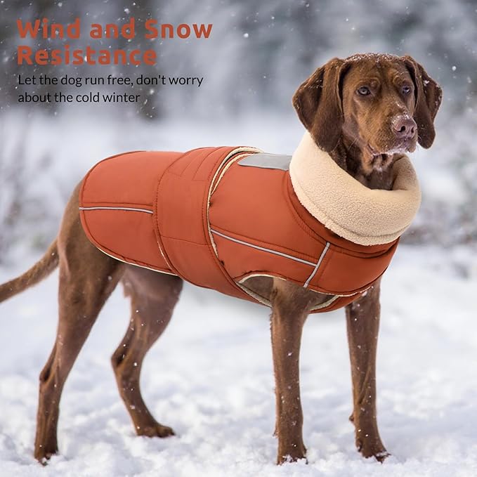ASENKU Warm Dog Coat, Waterproof Dog Jackets for Medium Dogs with Reflective Fleece Vest Turtleneck with Button, Windproof Cold Weather Coats for Small Medium Large Dogs, Red Brown, M
