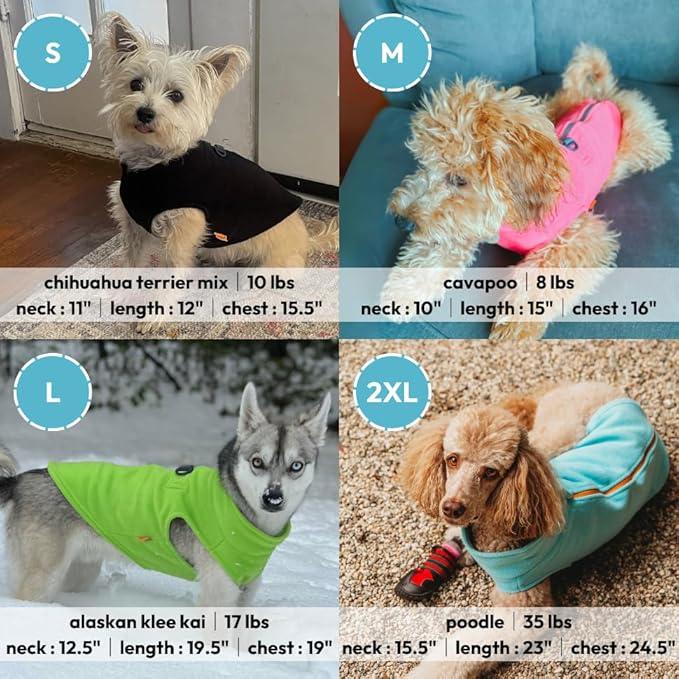 Gooby Zip Up Fleece Dog Sweater - Turquoise, Small - Warm Pullover Fleece Step-in Dog Jacket with Dual D Ring Leash for Small to Medium Dogs