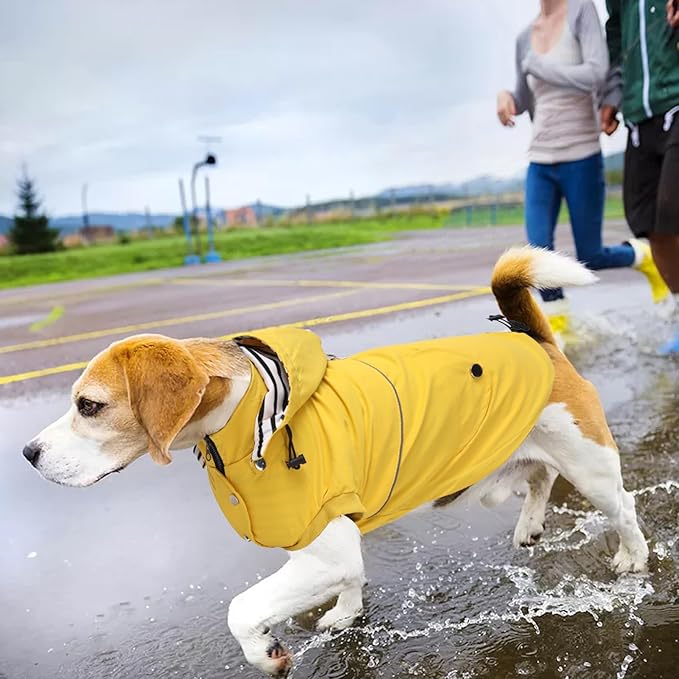 Dog Raincoat Waterproof Raincoats Dog rain Jacket Buttons Zipper Hood Drawstring Suitable for Small Medium Yorkie Terrier Schnauzer Poodle Border Collie Labrador 8lbs to 80lbs Yellow XL