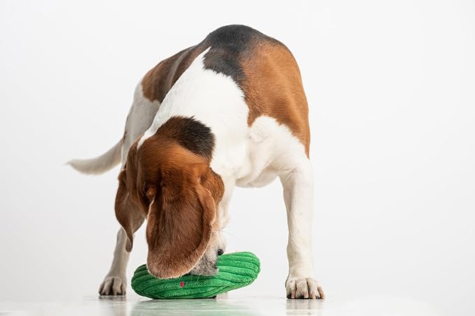Squeaky Dog Plush Toy, Bite_Stick Collection, 8'', for Small and Medium Dogs (Cucumber)
