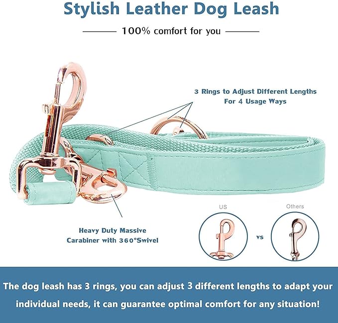 Soft Leather Dog Collar and Leash (6.6') Set - Stylish Rose Gold Heavy Duty Metal Buckle, 4 Adjustable Lengths Leash for Small Medium Large Dogs - Comfortable & Easy to Clean Mint Green S(12.2"-16.9")