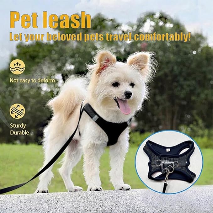 Dog Harness Small Sized and Leash Set, Dog Harness with Leash Set, Comfortable Air Mesh Dog Vest Harness with Reflective Strip, Reflective for Safe Easy Walking Dogs, Cats, Black M