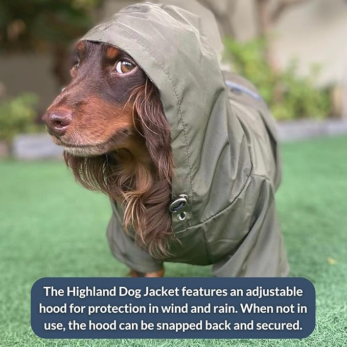 DJANGO Highland Dog Jacket & Raincoat – Water-Repellent, Lined Dog Coat with Hood, Adjustable Fit & Harness Hole – Lightweight Rain & Wind Jacket for Small & Medium Dogs up to 30 lbs (Olive, Small)
