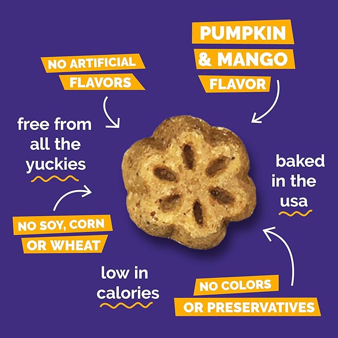 Fruitables Skinny Minis Dog Treats, Healthy Pumpkin Treat for Dogs, Low Calorie & Delicious, Puppy Training, No Wheat, Corn or Soy, Made in the USA, Pumpkin and Mango Flavor, 5oz