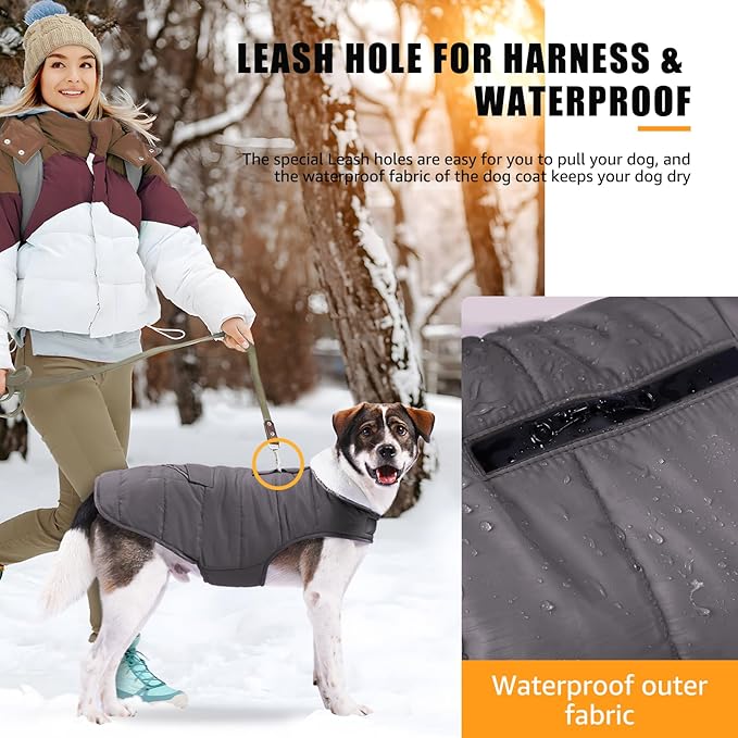 iBuddy Dog Winter Coats with Fleece Vest,Waterproof Warm Dog Snow Jacket Windproof, Reflective Adjustable Pet Dogs Cold Winter Coat for Dogs Girl Boy
