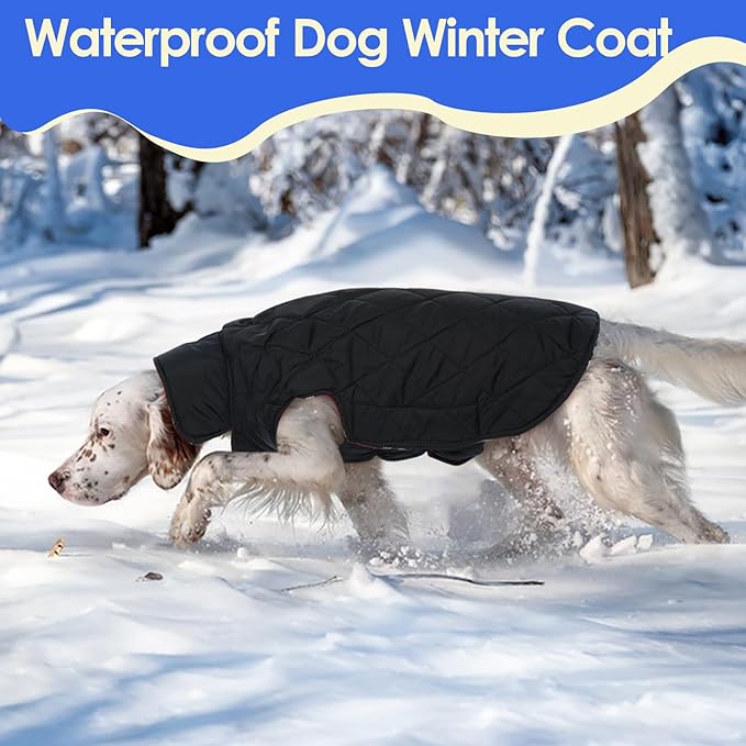 MIGOHI Reversible Dog Coat, Windproof, Waterproof Winter Jacket for Cold Weather, Plaid Dog Coats for Male Female, Green, L