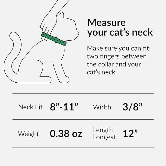 CollarDirect Leather Cat Collar, Kitten Collar with Removable Bell Black Blue Red Orange Lime Green (8-11 Inch, Black)