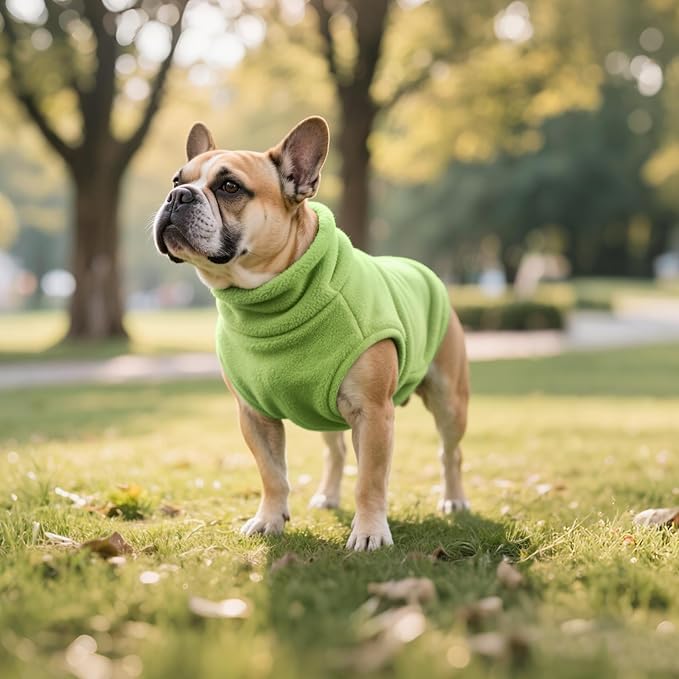 Idepet Dog Fleece Vest Sweater Zip Up Warm Pullover Dogs Jacket with D-Ring Leash Winter Cold Weater Coat Pet Sweatershirt Clothes Hoodie for Small Medium Dogs Boy Girl(Green,XXS)