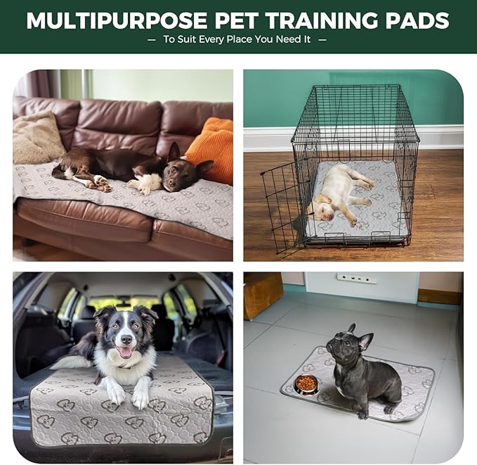 FXW Washable Pee Pads for Dogs, Puppy Pads with Super Absorbent, Specifically Designed for 48inch Cages, 47" × 29" Rectangle, Khaki, 2 Packs