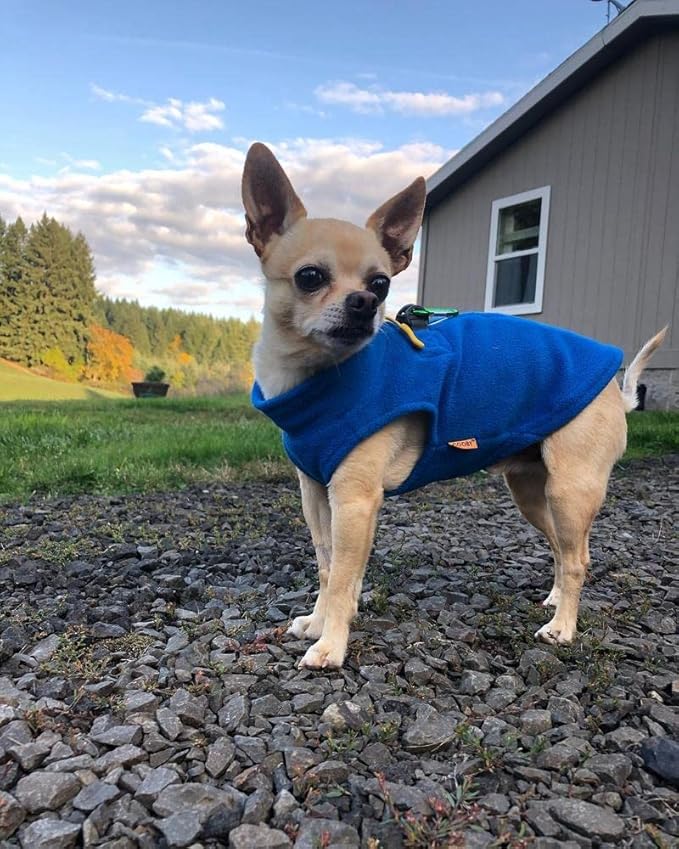 Gooby Boys X-Small Chest (~11 Inch) Zip Up Fleece, Blue, X-Small 11 US