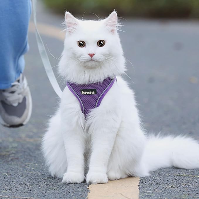 AIITLE Small Harness for Puppy with A Leash - Summer Dog Vest Harness with Super Breathable Mesh, Reflective No-Pull Pet Harness for Outdoor Walking, Camping for Small Dogs, Cats Pure Purple XXS