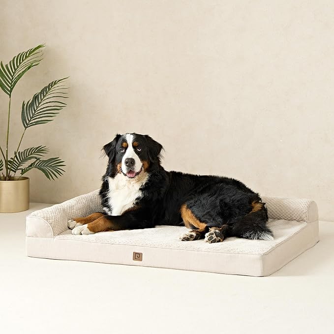 EHEYCIGA Memory Foam Dog Bed Large Sized Dogs, Waterproof Dog Bed Orthopedic with Washable Removable Cover, Non-Slip Pet Bed Couch, 36x27x6 Inches, Beige