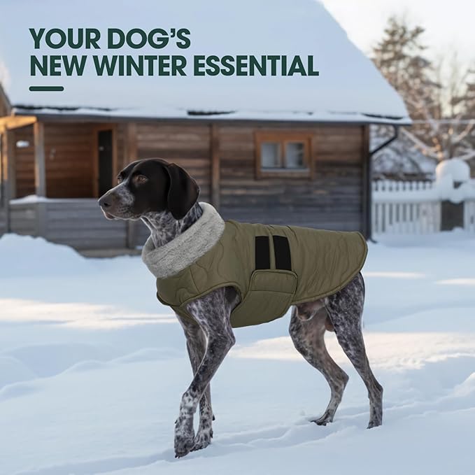 Kuoser Large Dog Coat, Winter Waterproof Dog Jackets for Large Dogs, Doggie Vest with Leash Hole, Cold Weather Coats Pet Snow Jacket for Labrador Beagle, Green XXL