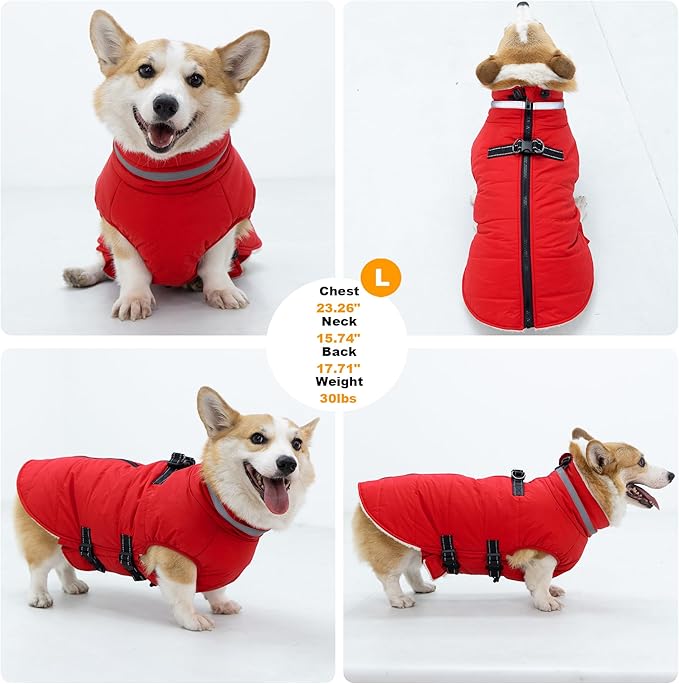 Dog Coat with Harness Built-in, Waterproof Reflective Fleece Lined - Warm Windproof Winter Jacket with Back Zipper, Cold Weather Snow Dog Coats - Red - L